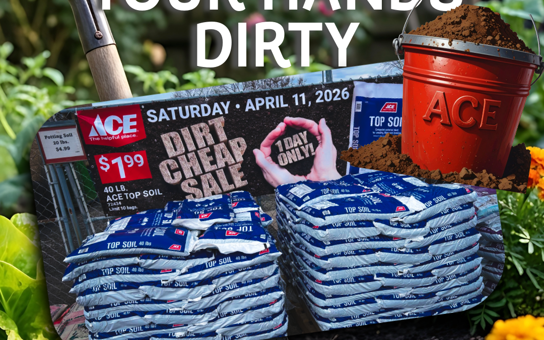 Get Your Hands Dirty